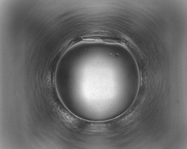 X0000067000825200603241340