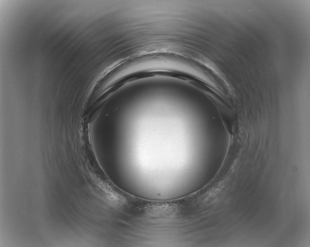 X0000067000826200603241340