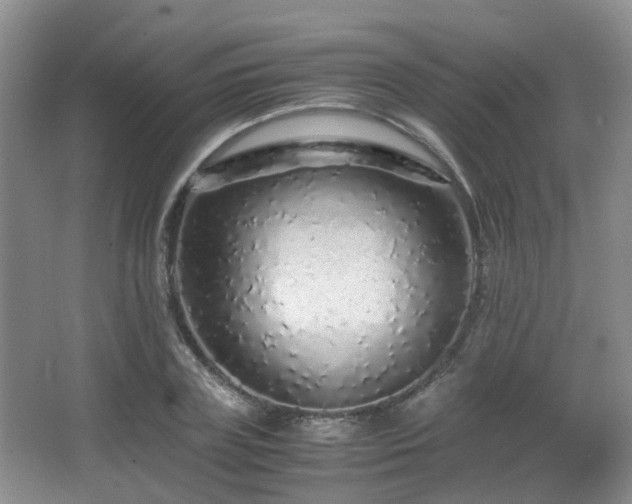 X0000067000835200603241340