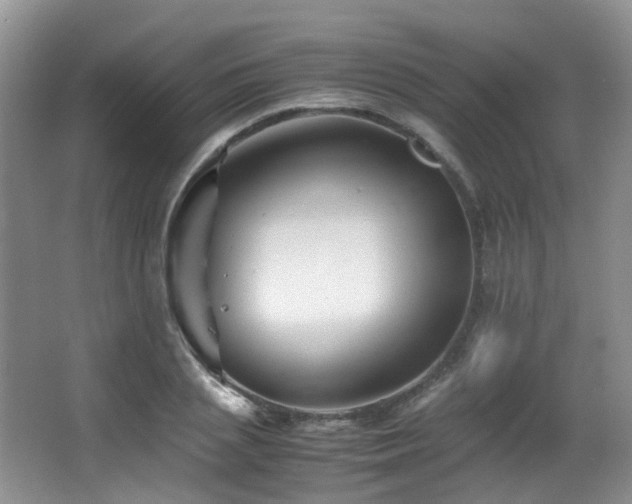 X0000067000837200603241340