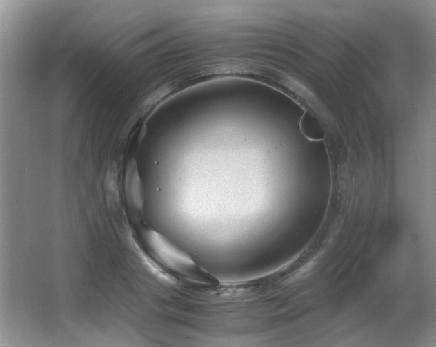 X0000067000841200603241340