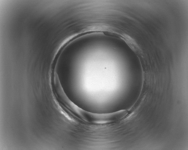 X0000067000846200603241340