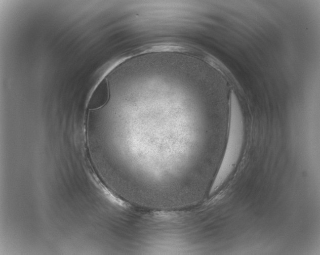 X0000067000852200603241340
