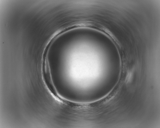 X0000067000853200603241340