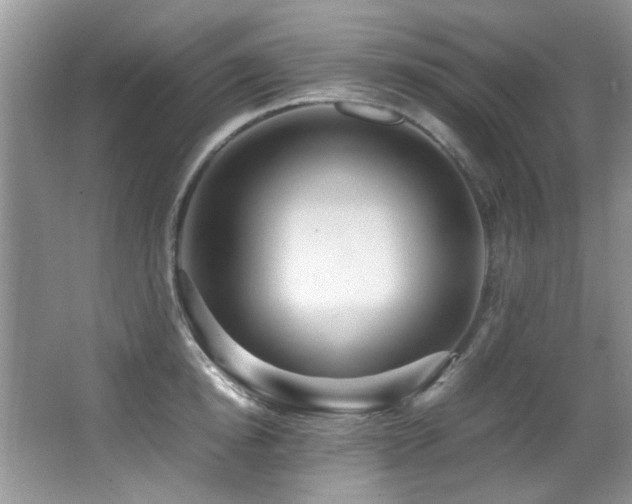 X0000067000854200603241340
