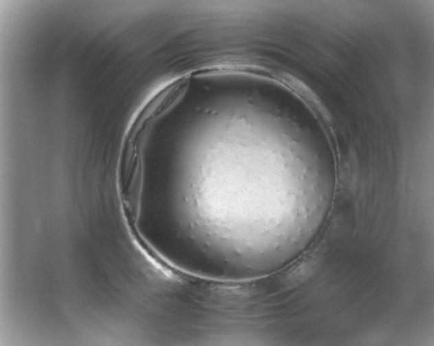 X0000067000855200603241340