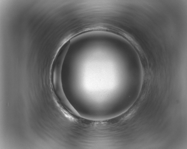 X0000067000858200603241340