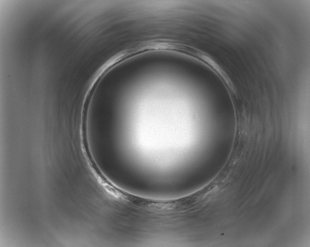 X0000067000861200603241340