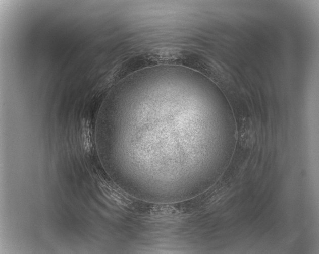X0000067000866200603241339