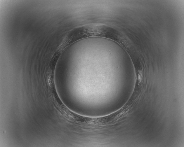 X0000067000867200603241339