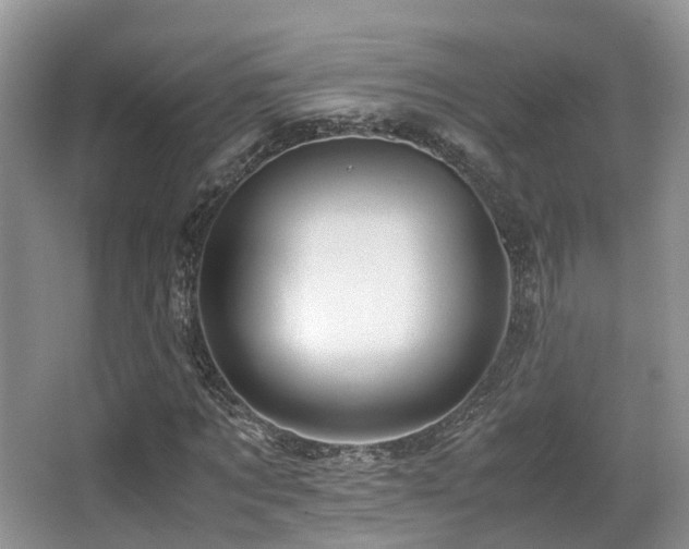 X0000067000869200603241339