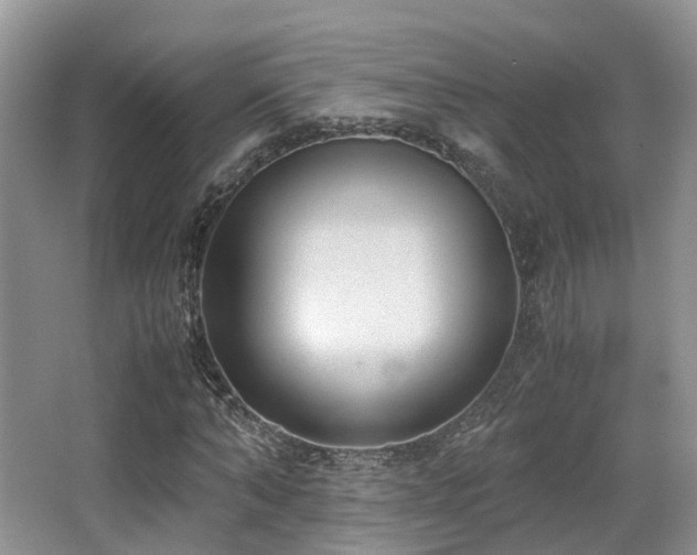 X0000067000870200603241339
