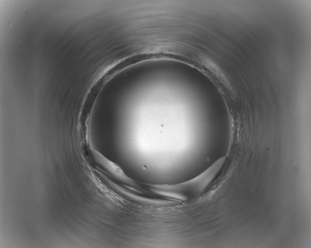 X0000067000876200603241339