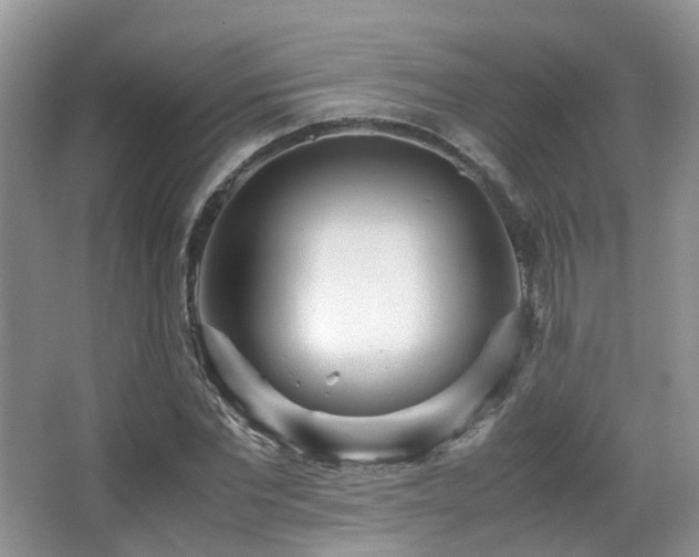 X0000067000877200603241339