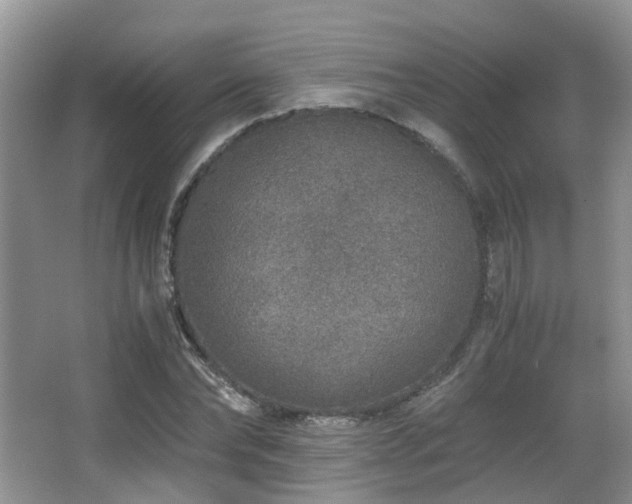 X0000067000878200603241339