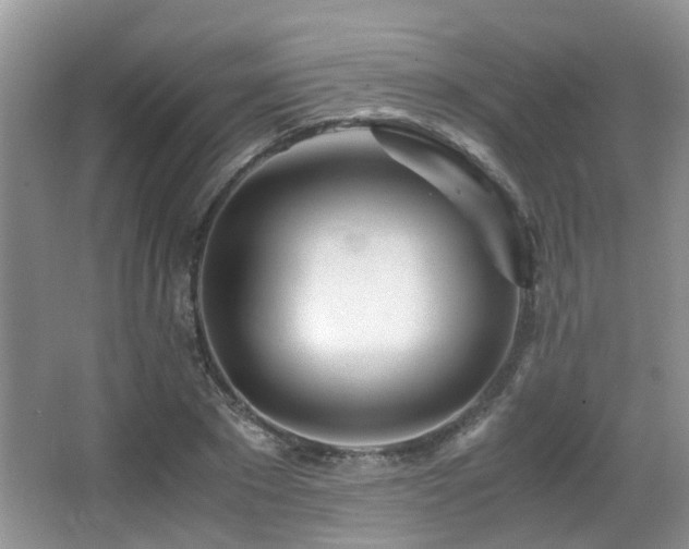 X0000067000881200603241339
