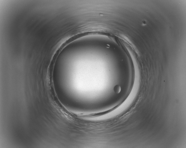 X0000067000883200603241339