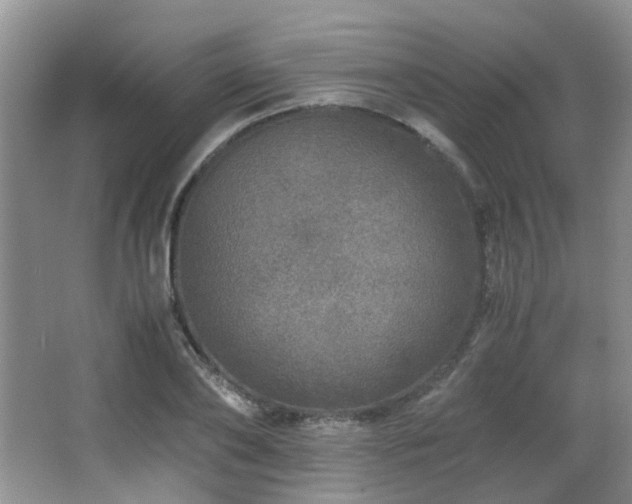 X0000067000886200603241339