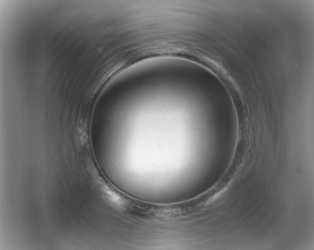X0000067000889200603241339