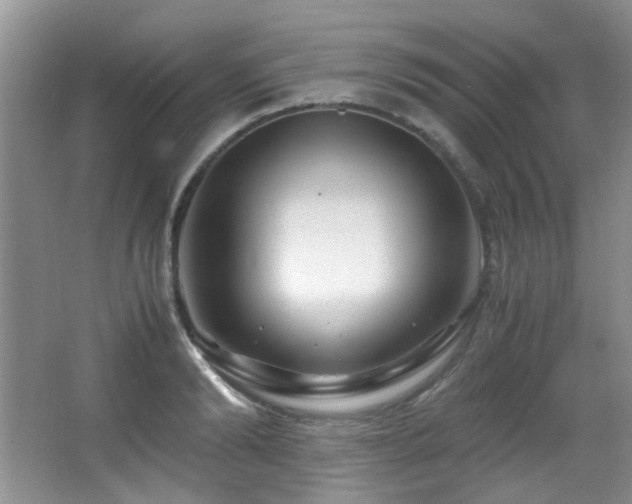 X0000067000894200603241339