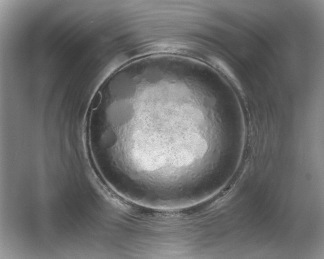 X0000067000899200603241339