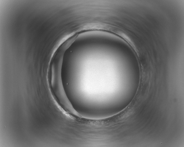 X0000067000901200603241339