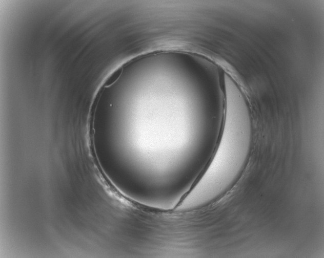 X0000067000904200603241339