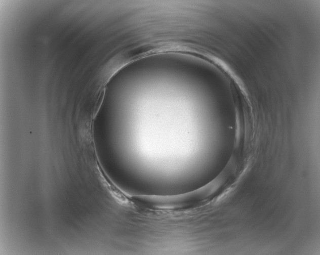 X0000067000905200603241339