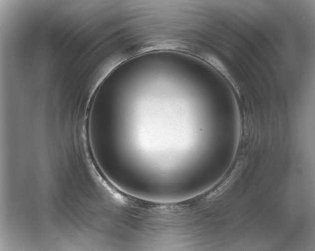 X0000067000906200603241339