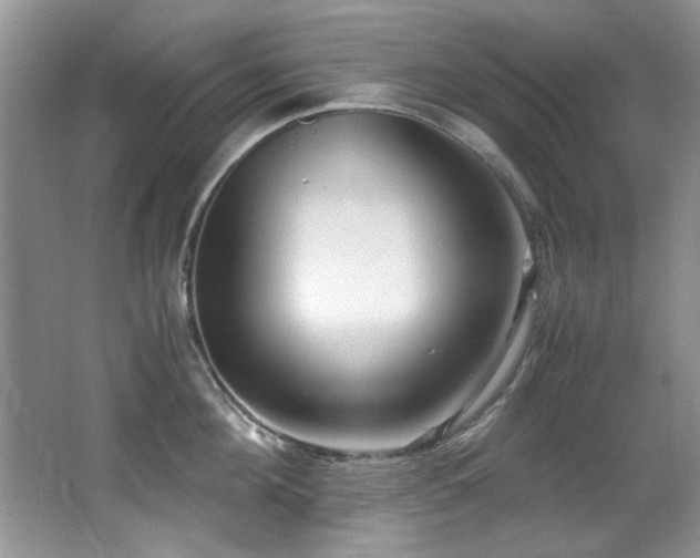 X0000067000908200603241339