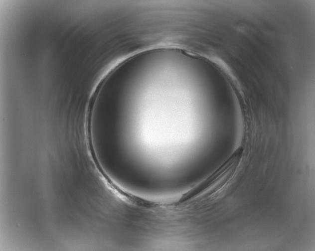 X0000067000910200603241339