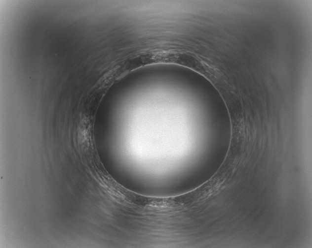 X0000067000914200603241338