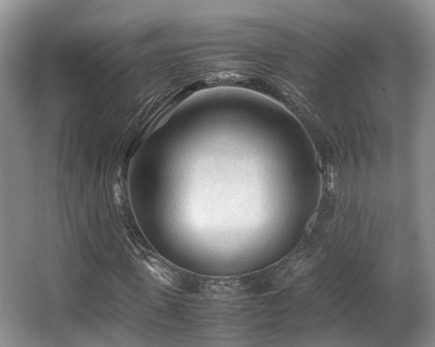 X0000067000915200603241338