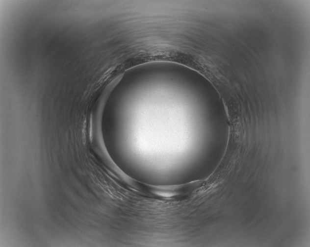 X0000067000916200603241338
