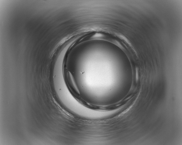 X0000067000922200603241338