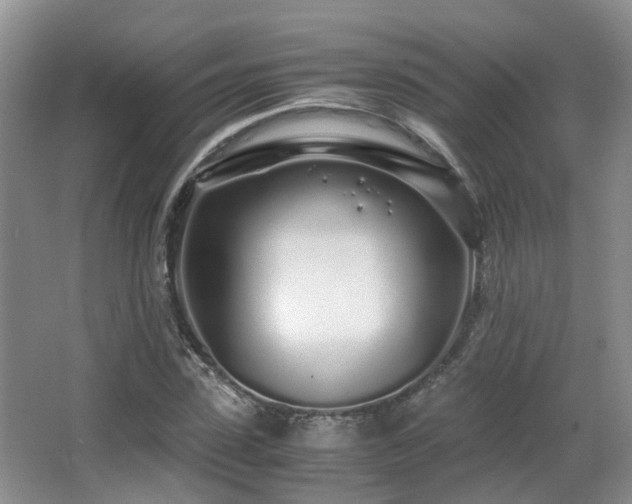 X0000067000923200603241338
