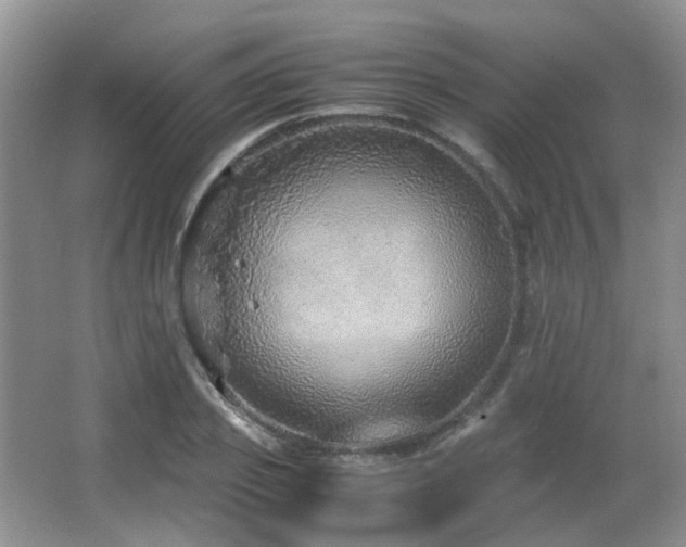 X0000067000933200603241338