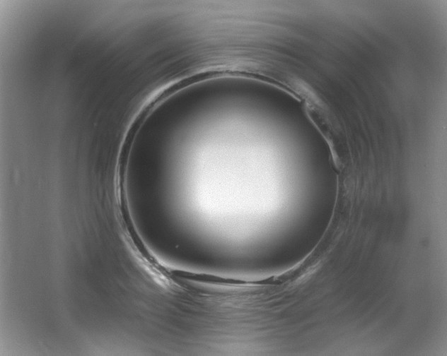 X0000067000940200603241338