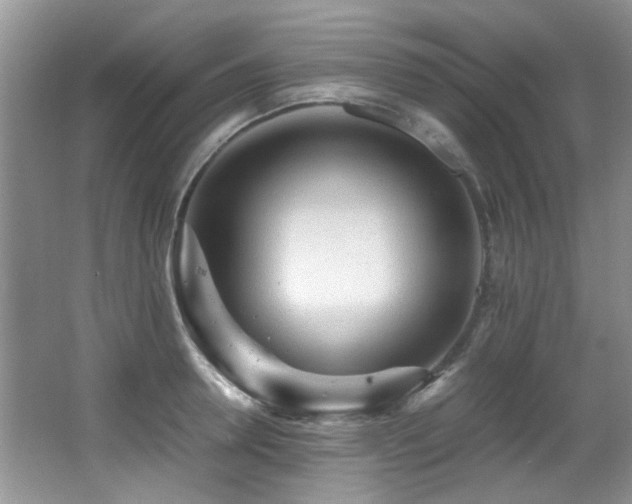 X0000067000946200603241338