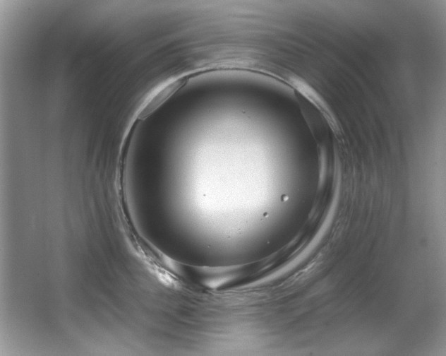 X0000067000956200603241339