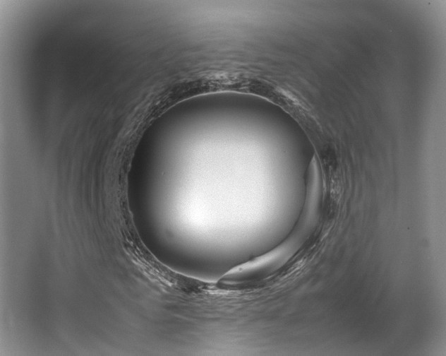 X0000067000961200603241338