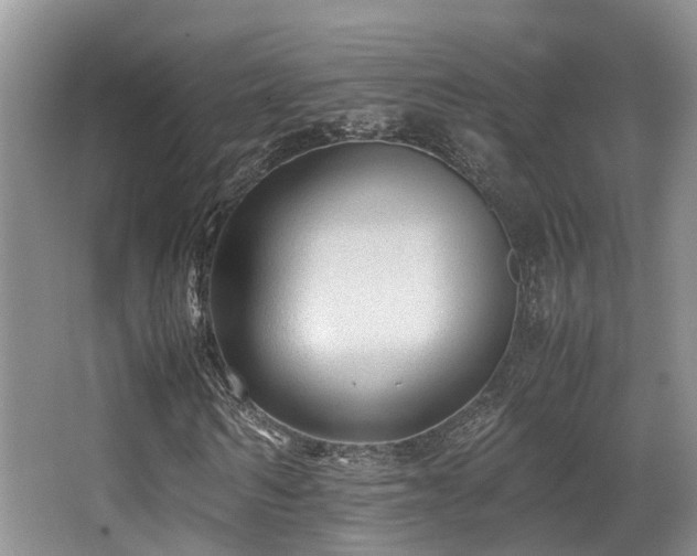 X0000067000962200603241338
