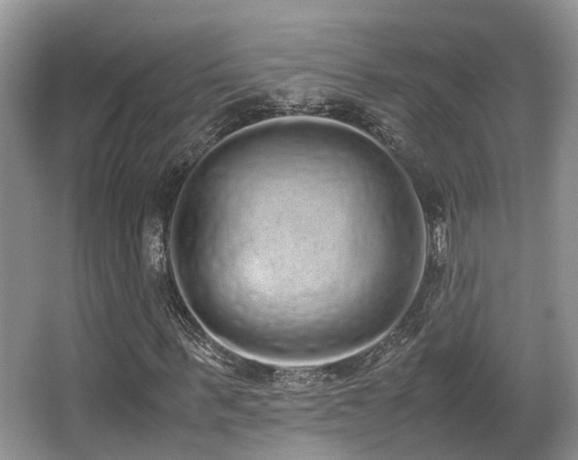X0000067000963200603241338