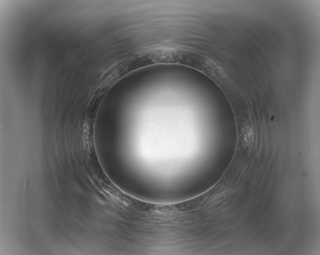 X0000067000964200603241338