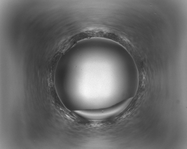 X0000067000965200603241338