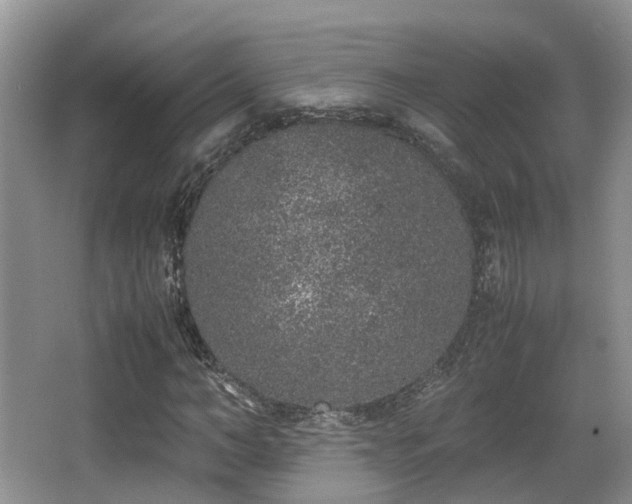 X0000067000966200603241338