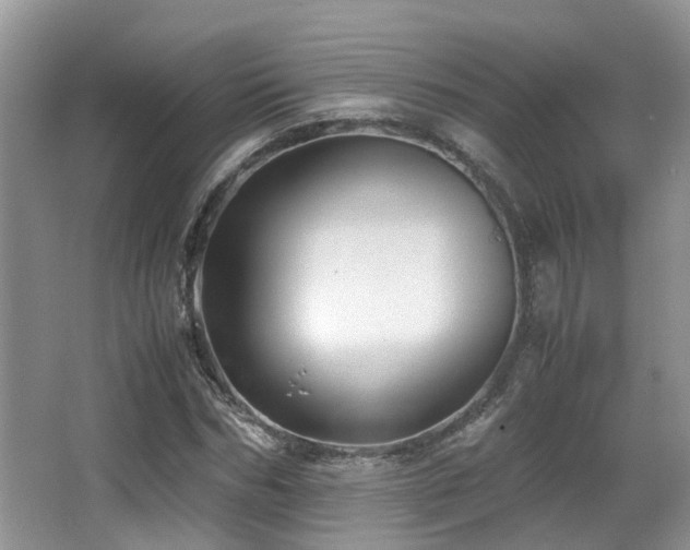 X0000067000970200603241338