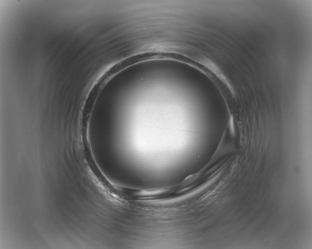 X0000067000972200603241338