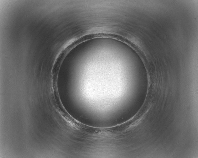 X0000067000974200603241338