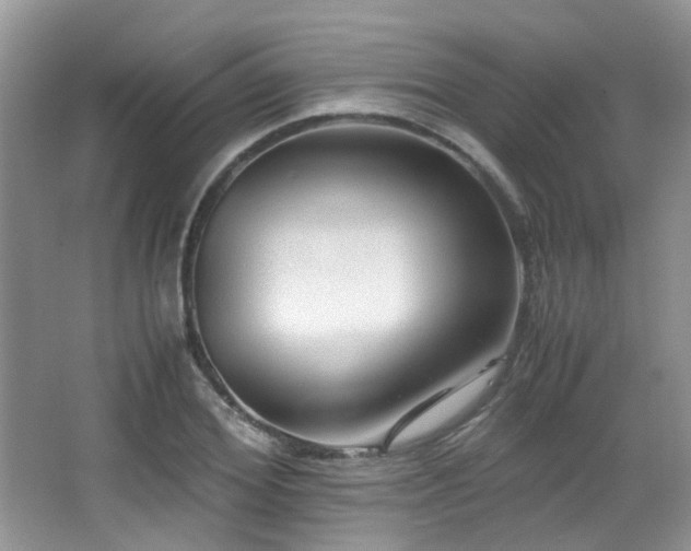 X0000067000980200603241338